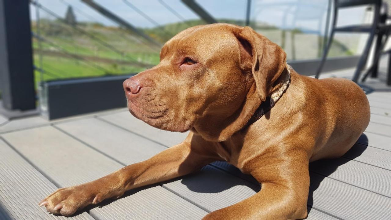 Ronachan Clachan  Eksteriør billede